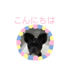 ポッキーの日常会話1（個別スタンプ：2）