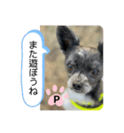 ポッキーの日常会話1（個別スタンプ：10）