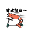 エビのLINEスタンプ（個別スタンプ：4）