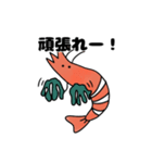 エビのLINEスタンプ（個別スタンプ：10）