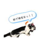 冷めた夫婦でも使える日常スタンプ（個別スタンプ：2）