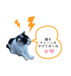 冷めた夫婦でも使える日常スタンプ（個別スタンプ：3）