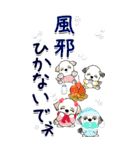 【Big】シーズー 61『+Baby 冬』（個別スタンプ：39）