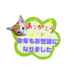 てばさんのスタンプ2（個別スタンプ：1）