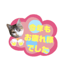 てばさんのスタンプ2（個別スタンプ：2）
