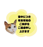 てばさんのスタンプ2（個別スタンプ：3）
