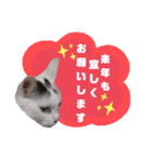 てばさんのスタンプ2（個別スタンプ：5）