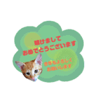 てばさんのスタンプ2（個別スタンプ：7）