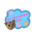 てばさんのスタンプ2（個別スタンプ：10）