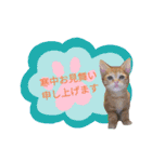 てばさんのスタンプ2（個別スタンプ：11）