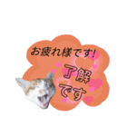 てばさんのスタンプ2（個別スタンプ：12）