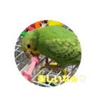 ゆきちゃん宅スタンプ9（個別スタンプ：1）