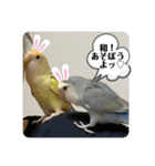 ゆきちゃん宅スタンプ9（個別スタンプ：2）