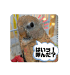 ゆきちゃん宅スタンプ9（個別スタンプ：3）