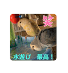 ゆきちゃん宅スタンプ9（個別スタンプ：5）
