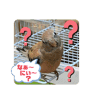 ゆきちゃん宅スタンプ9（個別スタンプ：6）