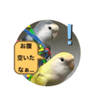ゆきちゃん宅スタンプ9（個別スタンプ：8）