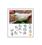 ゆきちゃん宅スタンプ9（個別スタンプ：9）