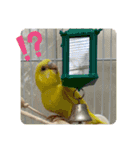 ゆきちゃん宅スタンプ9（個別スタンプ：10）