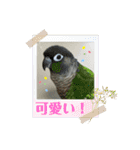 ゆきちゃん宅スタンプ9（個別スタンプ：11）