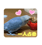 ゆきちゃん宅スタンプ9（個別スタンプ：12）