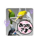 ゆきちゃん宅スタンプ9（個別スタンプ：13）