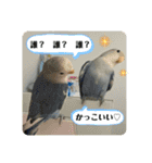 ゆきちゃん宅スタンプ9（個別スタンプ：15）