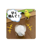 ゆきちゃん宅スタンプ9（個別スタンプ：16）