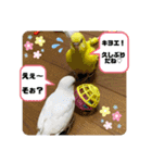 ゆきちゃん宅スタンプ9（個別スタンプ：24）
