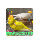 ゆきちゃん宅スタンプ5（個別スタンプ：2）