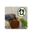 ゆきちゃん宅スタンプ5（個別スタンプ：5）