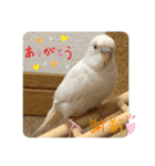 ゆきちゃん宅スタンプ5（個別スタンプ：6）