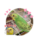 ゆきちゃん宅スタンプ5（個別スタンプ：7）