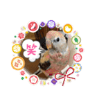 ゆきちゃん宅スタンプ5（個別スタンプ：8）