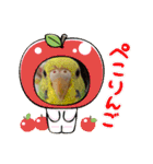 ゆきちゃん宅スタンプ5（個別スタンプ：9）