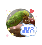 ゆきちゃん宅スタンプ5（個別スタンプ：15）