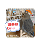 ゆきちゃん宅スタンプ5（個別スタンプ：16）
