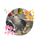 ゆきちゃん宅スタンプ5（個別スタンプ：17）