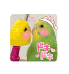 ゆきちゃん宅スタンプ5（個別スタンプ：18）