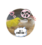 ゆきちゃん宅スタンプ5（個別スタンプ：20）