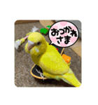 ゆきちゃん宅スタンプ5（個別スタンプ：21）