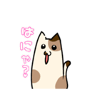 うるさいねこすたんぷ（個別スタンプ：3）