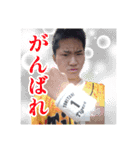 【公式】 トラ党チャンネル（個別スタンプ：11）
