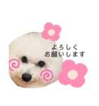 うちの子スタンプ(aoi)（個別スタンプ：10）