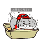 猫ジョッキーのスタンプ第2弾だニャ（個別スタンプ：2）