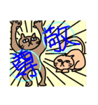 いつものねこたろう（個別スタンプ：6）