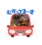 あらちゃん⑤（個別スタンプ：15）
