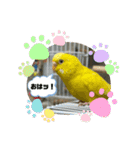 ゆきちゃん宅スタンプ6（個別スタンプ：1）
