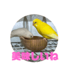 ゆきちゃん宅スタンプ6（個別スタンプ：5）