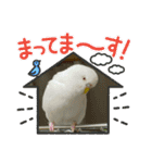 ゆきちゃん宅スタンプ6（個別スタンプ：7）